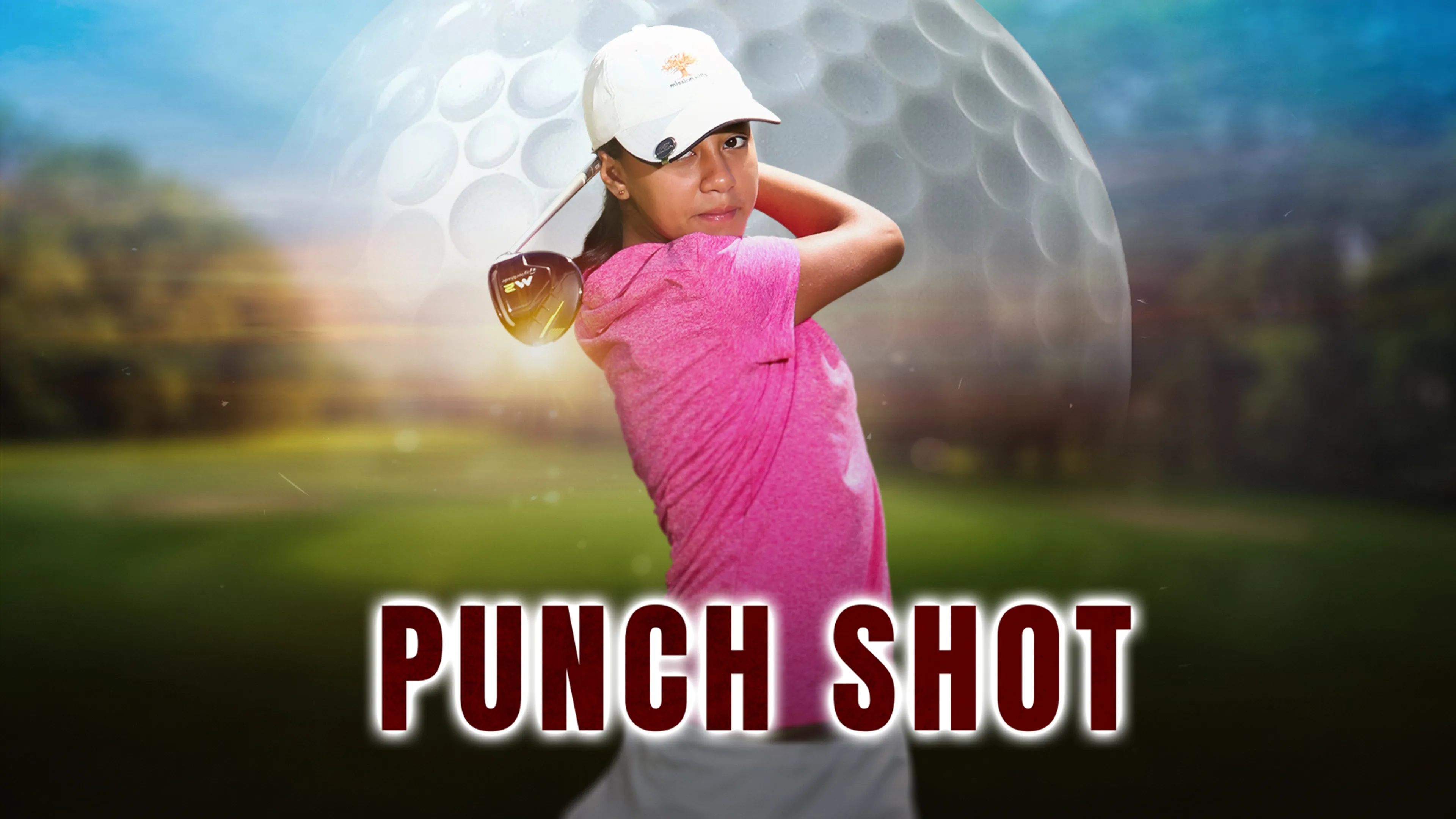 Punch Shot poster